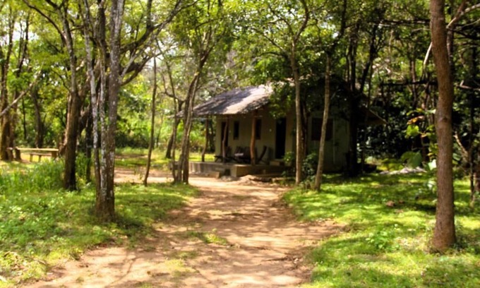 Habarana Cabin | Cottage for 2 - Eagles Wing's GuestHouse