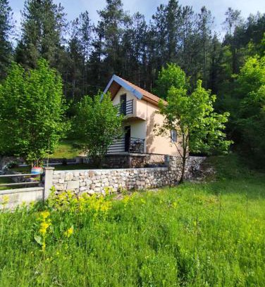 Donje Polje Apartment | Cottage in nature of Cetinje