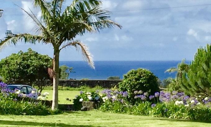 Fenais da Luz Other | Cottage in pineapple plantation with sea views and 9 Acres of Land