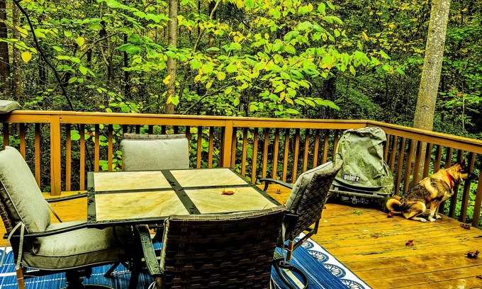 Gumlog House | Cottage on Lake Hartwell! Cozy fireplace, wooded trail to dock, & dog friendly!
