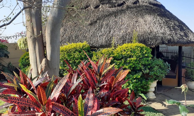 Harare House | Cottage - Sleeps 4, Pool & Private Parking