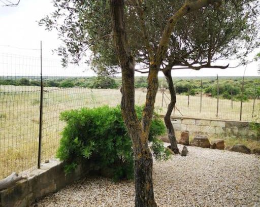 Cuglieri Ski Chalet | Cottage Su Lizzu countryside&sea