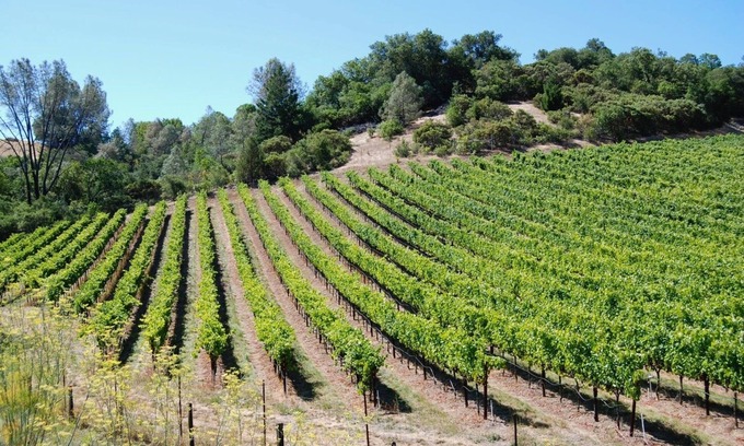 Cloverdale Cottage | Country Cottage on a beautiful Winecountry Vineyard