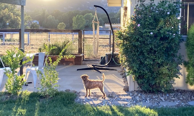 Atascadero Cottage | Country Get Away