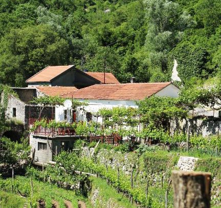 Karuc Apartment | Country House Dajkovic