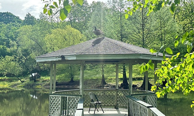 Antioch Bed & Breakfast | Country in the City