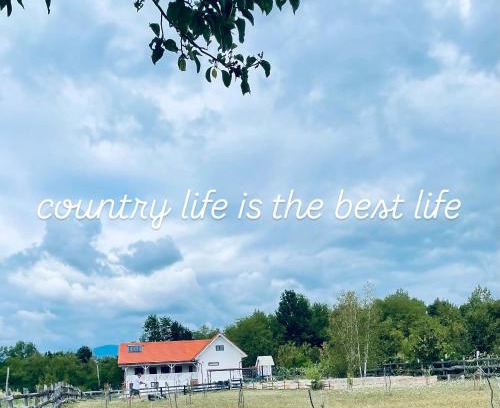 Novaci House | Country Life