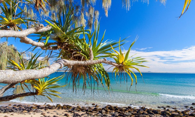 Noosa Heads Apartment | Cove Point Apartment 4 – Little Cove Dreaming