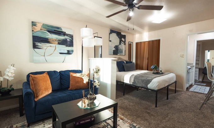 South Arlington Apartment | Cowboys Chic Studio: 3 miles to AT&T Stadium
