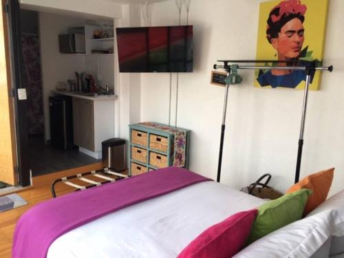 Del Carmen Apartment | Coyoacan Frida's Favorite Loft