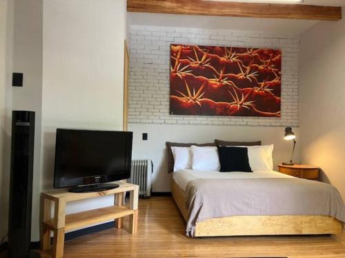 Coyoacan Apartment | Coyoacan historico, museo Frida.