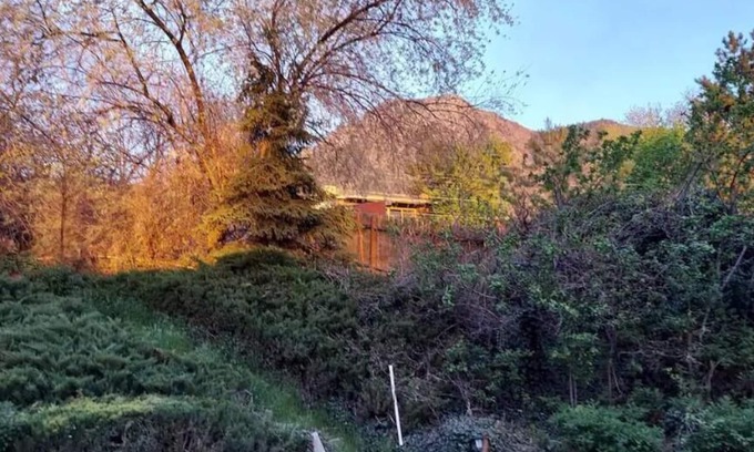 Olympus Cove House | Cozy 4-bedroom ski house in adorable Holladay - Alta, Snowbird, Park City