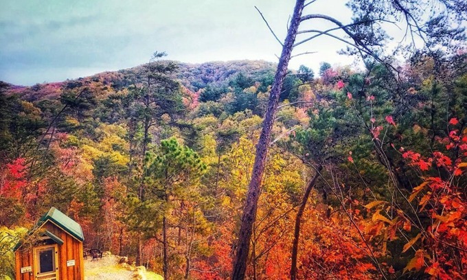 Newport Cabin | Cozy, absolutely secluded Mountain Cabin,Pet Friendly,spectacular Views,hiking
