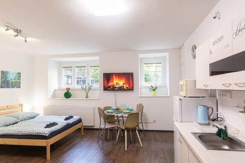 Nusle Apartment | Cozy basement flat, SkyShowtime, 3 minutes to center