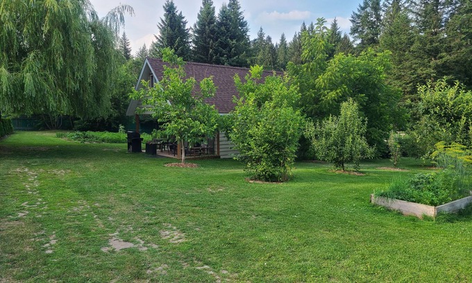Tappen House | Cozy Cabin, 2 min to the HWY1, 5 minutes to the Shuswap lake