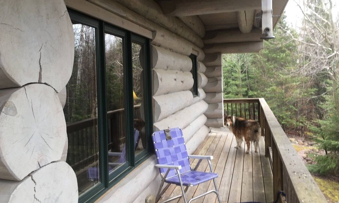 Grand Marais Cabin | Cozy cabin in the woods