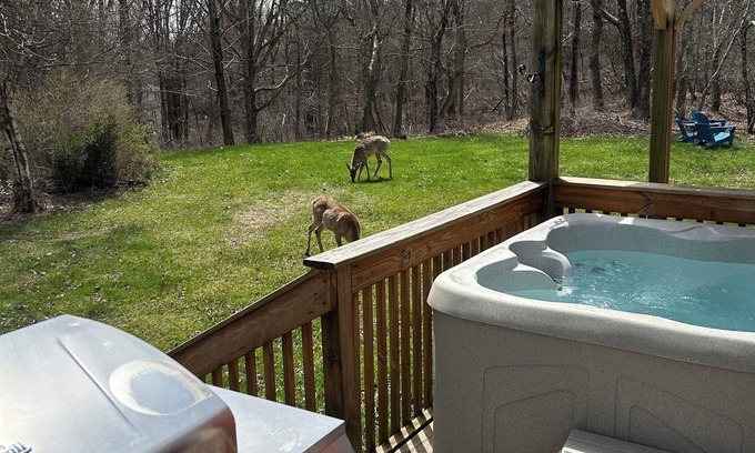 Long Pond Ski Chalet | COZY CHALET-CAMELBACK & KALAHARI; HOT TUB, PING PONG & POOL TABLE; GAS FIREPLACE