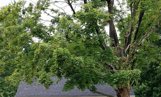 Lexington House | Cozy Corner - Little House in Downtown Lexington