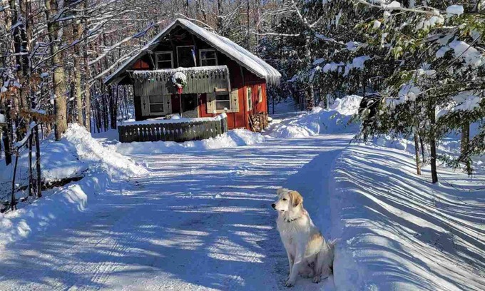 Bessemer Ski Chalet | Cozy creekside cabin near Big Powderhorn's Lift #1 & Recreational Trail #2!