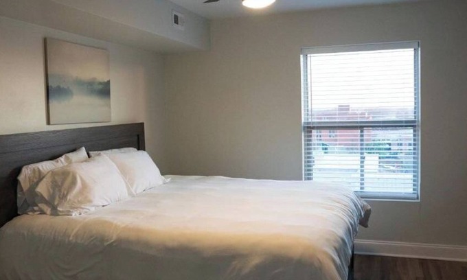 Medical District Apartment | Cozy Downtown Luxury High-Rise Luxury: Sleeps 4