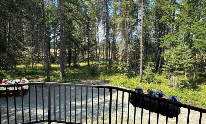 Sandpoint House | Cozy Escape Outside of Sandpoint