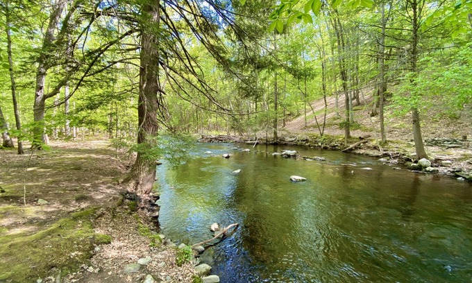 Bushkill House | Cozy Forest Creekside Home: jacuzzi, fireplace, firepit+