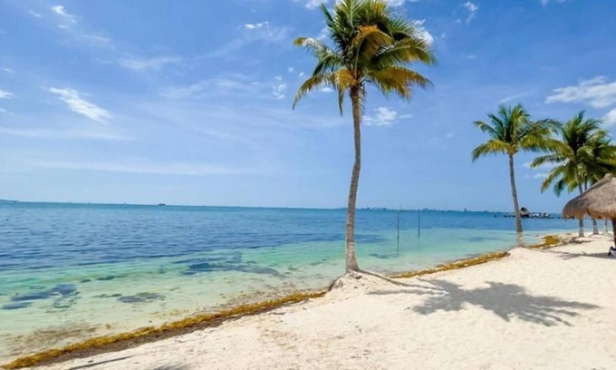 Puerto Juarez Apartment | Cozy in hotel complex with beach
