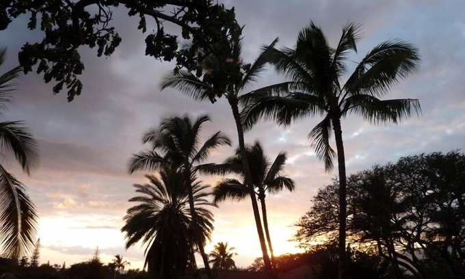 Kihei Cottage | Cozy Maui 'Treehouse' with lovely views and amenities