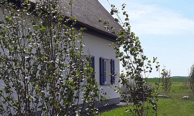 Trent Villa | Cozy, modern, child-friendly vacation home with large garden