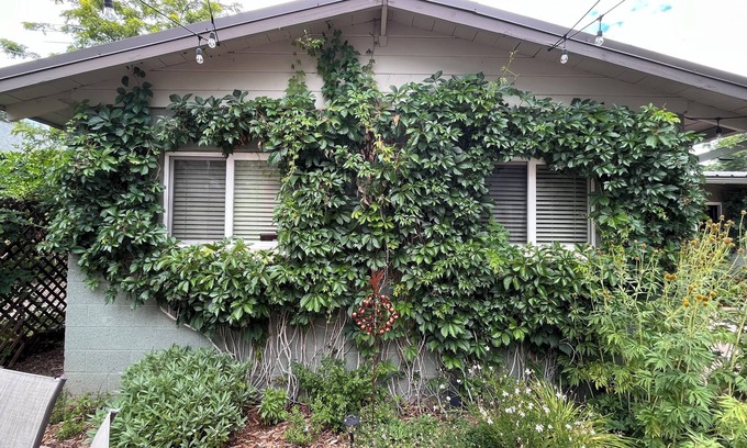 Flagstaff Cottage | Cozy, Modern Two Bedroom Downtown Flagstaff Cottage for Short or Extended Stays