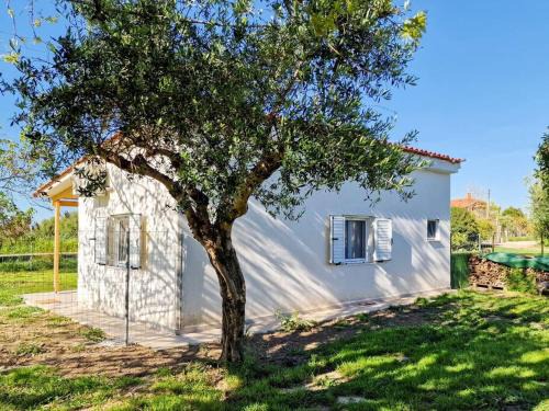 Pyrgos House | Cozy Owl's Studio Home