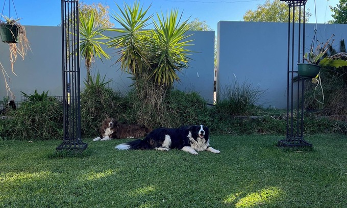 Dubbo House | Cozy Private Room - Twin Bedroom with Private Garden - Pet Friendly