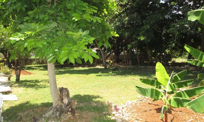 St. Ann's Bay Bed & Breakfast | COZY'S BANDB