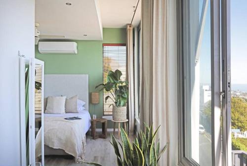 Clifton Apartment | Cozy Studio Apartment - Number 4705