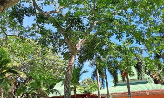 Costa Blanca House | Cozy Town House Beach, Golf