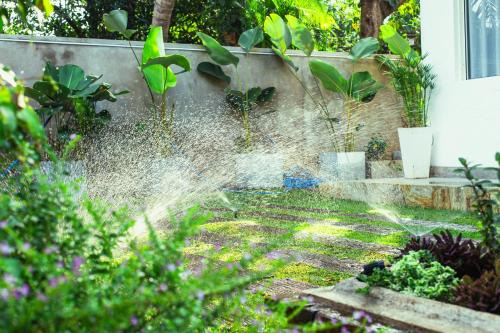 Anuradhapura Bed & Breakfast | Cozy Vacation Home
