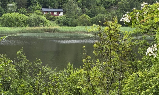 Hallevadsholm Ski Chalet | Cozy wilderness cabin at Kynnefjäll – close to lake, nature and hiking trails |SE09081