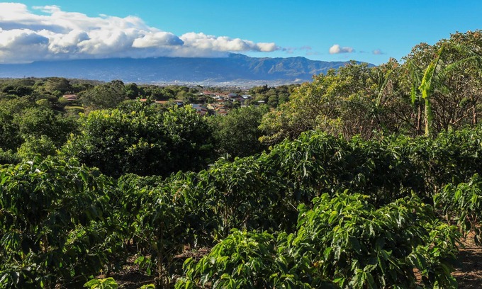 Santa Barbara de Heredia House | 2 Bedroom, 2 Bath Office, Open Floor Plan on beautiful coffee farm