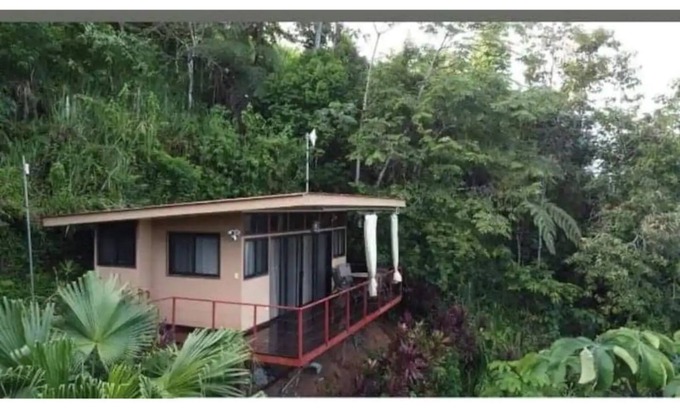 Ciudad Cortes House | Tiny Home Above The Tree Tops