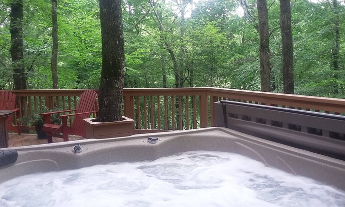 Hiawassee Cabin | Creekside Cabin-Hot Tub - Amid North Georgia Wineries