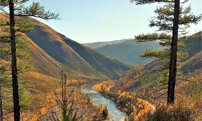 Columbia Falls Cabin | Creekside Cabin ~ Private, Peaceful, and Convenient to Glacier ~ Wonderful Deck!