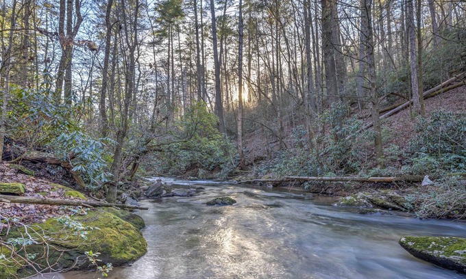 Cleveland Cabin | Creekside Oasis - Secluded Cabin in the Mountains on Swift Moving Creek