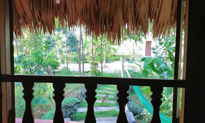 Nho Quan House | Cuc Phuong Bungalow
