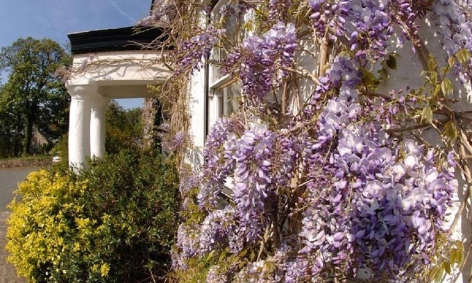 Haverfordwest House | Cuffern Manor