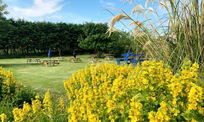 Cullen Hotel | Cullen Bay Hotel