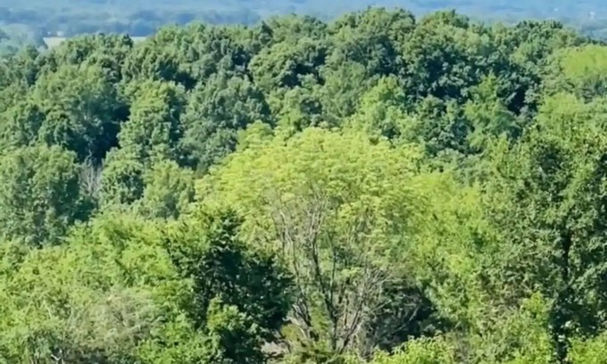 Wilson County Cabin | Custom log home on top of the world. Situated on 147 acres.
