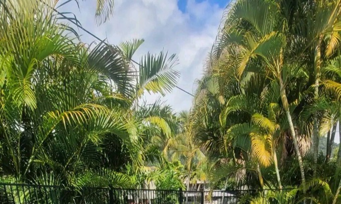 Cannonvale Cottage | Cute Beach Cottage, Pool, Pets, Netflix, WI-FI