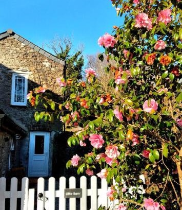 Saltash House | Cute Cornish Cottage