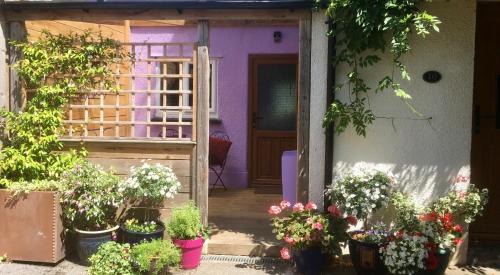 Glastonbury Apartment | Cute self-contained guest room with ensuite and private decked porch in Glastonbury