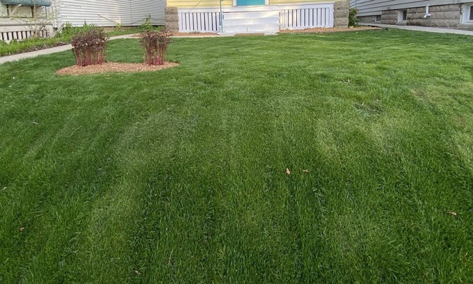 Bay View House | Cute, yellow 2BR Bungalow w/free garage and Wifi